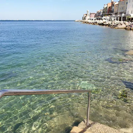 Andromeda * Piran